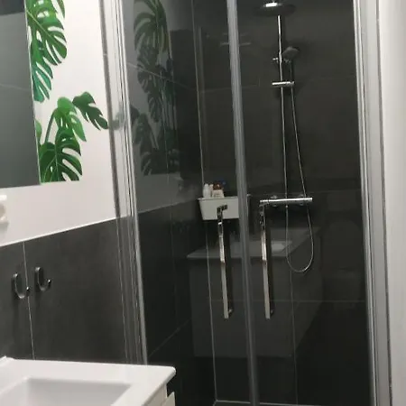 Apartment Designed Penthouse, Center